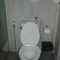 トイレです。それなりに綺麗に掃除されています。安心します。