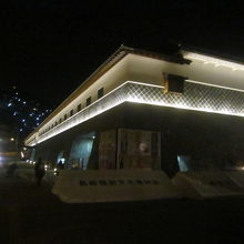 ライトアップされた建物の様子。これは美しくて素晴らしかった！