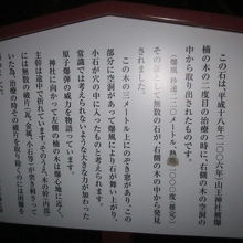 石の解説はこちらで。