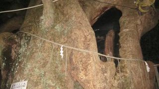 一本柱鳥居と共に、被爆の歴史を今に伝える遺産です