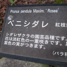 解説はこちらで。