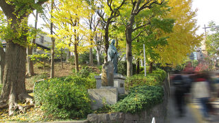 随分と若くてスタイルの良い春日局が居ました。