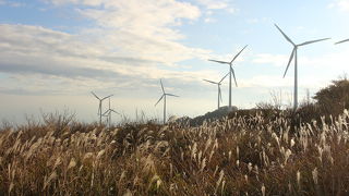 東伊豆町風力発電所 (風車見学)