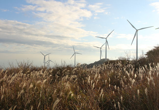 東伊豆町風力発電所 (風車見学)