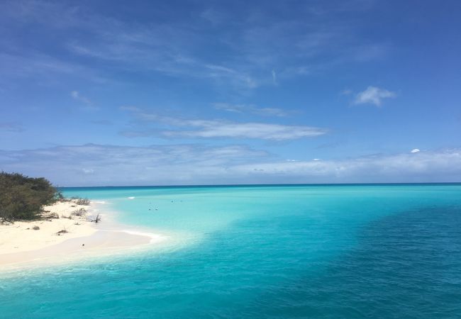 言葉が出ません。この橋の上から眺める海が最強。