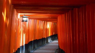 観光客の多さにびっくりしました