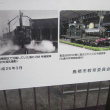 現役時代の懐かしい写真や、仲間（？）の写真も！