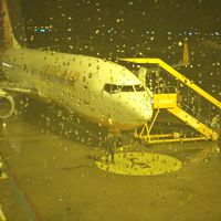 生憎の雨でしたが、飛行機近い！