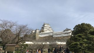 くもりだったのが残念