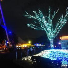イルミネーションです