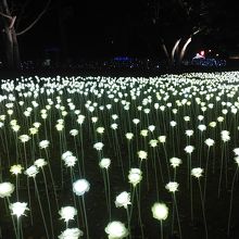 イルミネーション