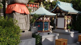 可愛らしいお顔