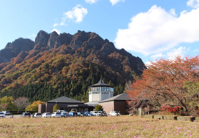 コスモスは少ししか咲いていなったけど、紅葉がきれいでした。