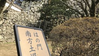 手前に忍者がいた