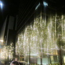 イルミネーション１