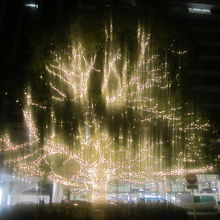 イルミネーション３
