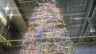 巨大ツリーを眺めながら、しみじみと色々なことを考えました…。