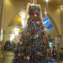 2018年12月24日夜のナナちゃんの様子