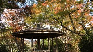 手軽に登れる山ではないと思います。そしてその労力に見合うものもないです。