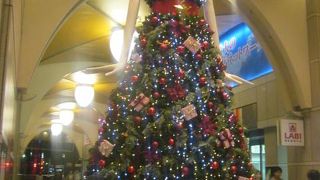 あっという間に着替えていらっしゃいました( ´∀｀ )