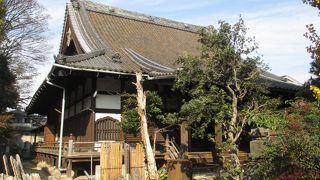 伝通院と関係が深いお寺さんでした。