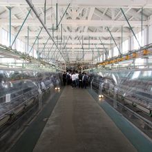 女工さん達が働いていた繰糸場ですね