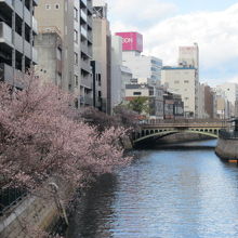 天王崎橋から納屋橋方面を望むとこんな感じです