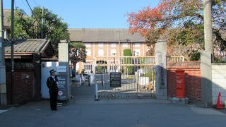 見所が多いです