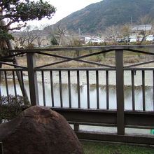 お座敷から五十鈴川が見えます