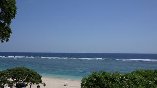 満潮時と干潮時に行きましたが、魚の数も種類も同じくらいでした。