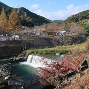 水と紅葉の公園