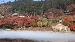 霧の中の紅葉と川面に映る紅葉を楽しめます