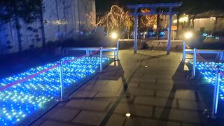 イルミネーション