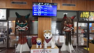 こじんまりとした空港