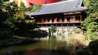風流な細工、池泉回遊式の庭園 ♪
