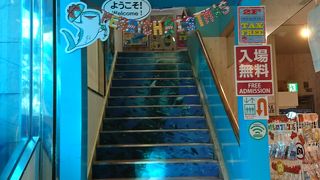 美ら海水族館のお土産