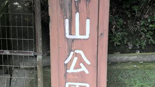 見晴らし抜群！