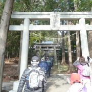 林の中に建つ歴史の古い神社