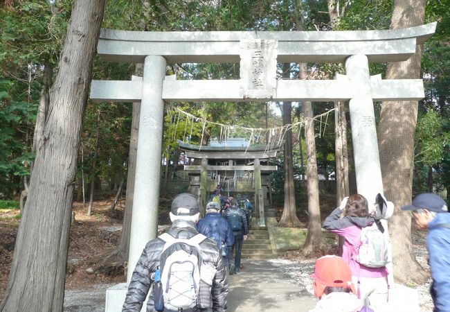 林の中に建つ歴史の古い神社