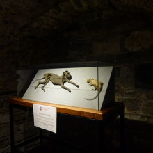 ネコとネズミのミイラ（クリプト）