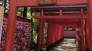 インスタ映えしそう。