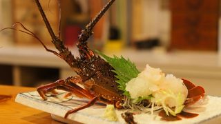 下田花水季で伊勢海老しちゃう？