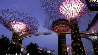 近未来の映画の世界