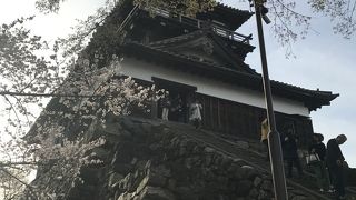 丸岡城桜まつり