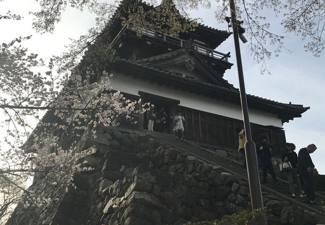 丸岡城桜まつり