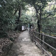 金華山の頂上付近