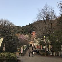 岐阜公園風景