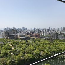大阪城からの眺め