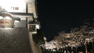 石垣と桜