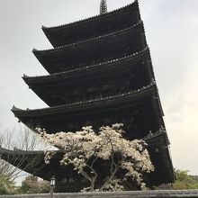 近場から見た塔